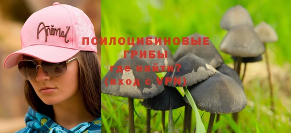 дмт Вязьма