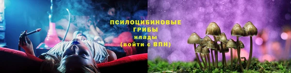 герыч Вяземский
