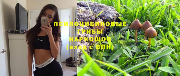 дмт Вязьма