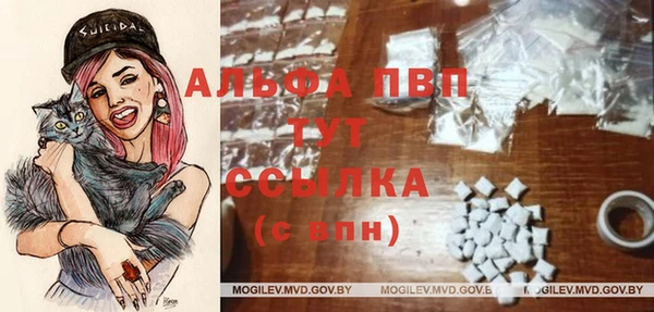 ECSTASY Мегион