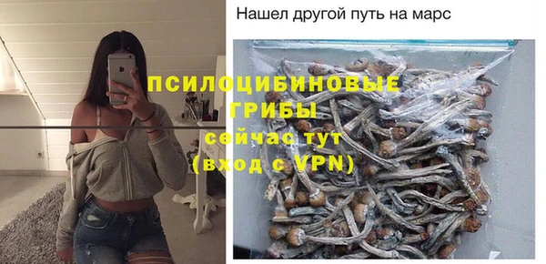 дмт Вязьма