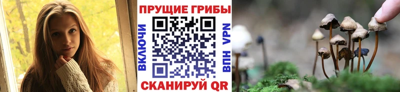 цена наркотик  kraken онион  Галлюциногенные грибы ЛСД  Джанкой 