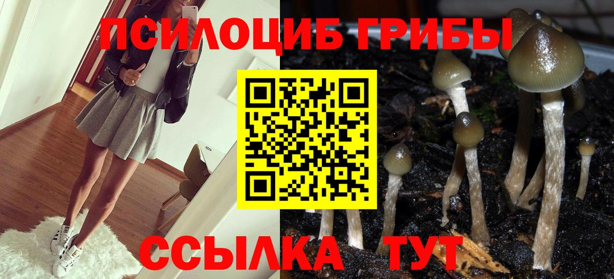 Джанкой  Псилоцибиновые грибы Psilocybe  Псилоцибиновые грибы прущие грибы  Вход с VPN 