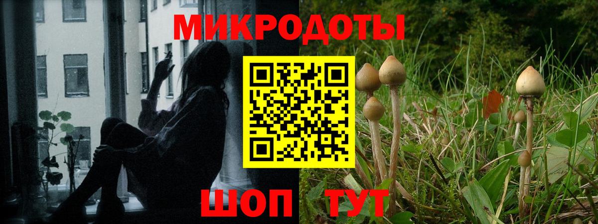 Галлюциногенные грибы Magic Shrooms Джанкой