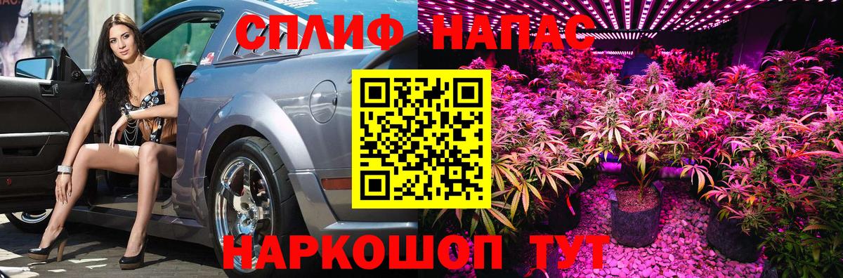 МАРИХУАНА сатива Джанкой